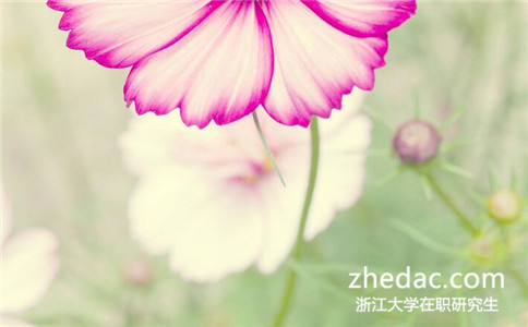 專科學歷可以報考浙江大學在職研究生嗎