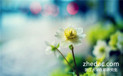 讀浙江大學在職研究生在哪里報名