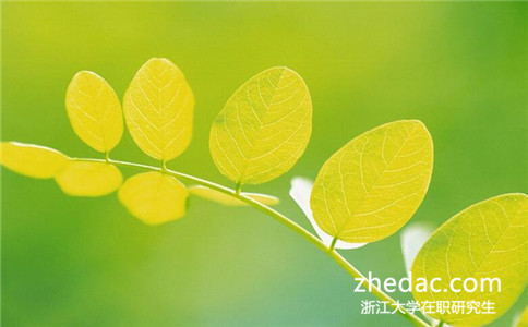 應屆畢業生可以報考浙江大學在職研究生嗎