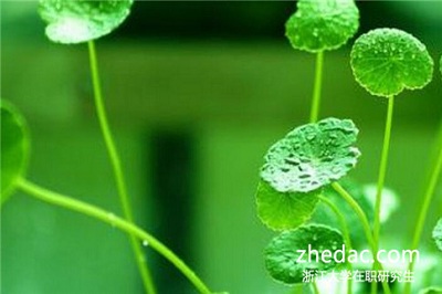 浙江大學在職研究生畢業可以獲得雙證嗎？